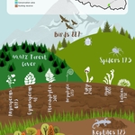 Infographics on Biodiversity of Nepal, for KAYAS.