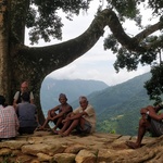 Men in rendezvous under a fig tree.<br><br><small>Gorkha, Nepal | Gorkha, July</small>